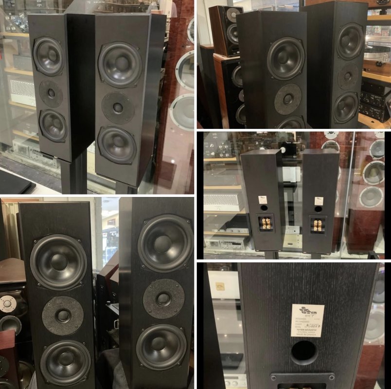 ขายลำโพงวางหิ้งไฮเอนด์ Totem Acoustic Mite-T กล่องครบเข้าใหม่